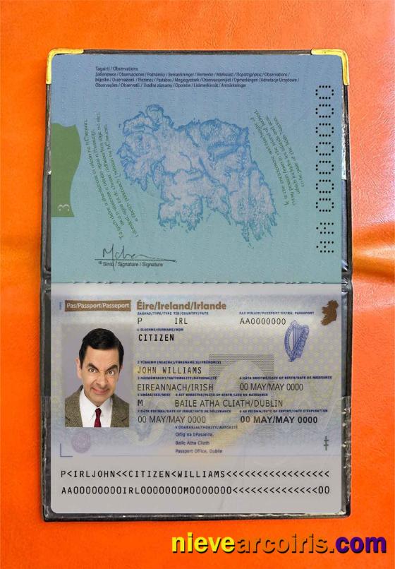 Ireland passport photolook